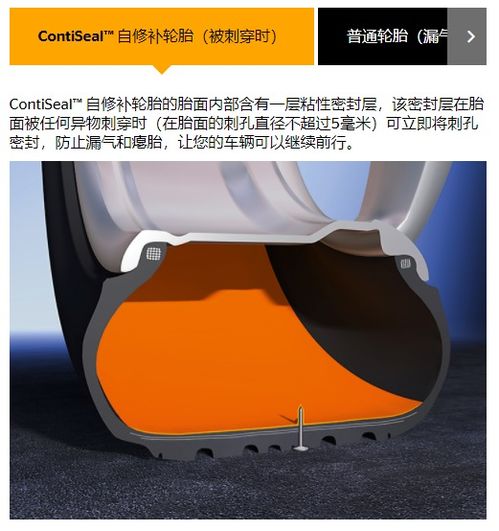 馬牌自修補輪胎 vs 安睿馳zeta自修復安全輪胎 直面破胎器的終極安全之選